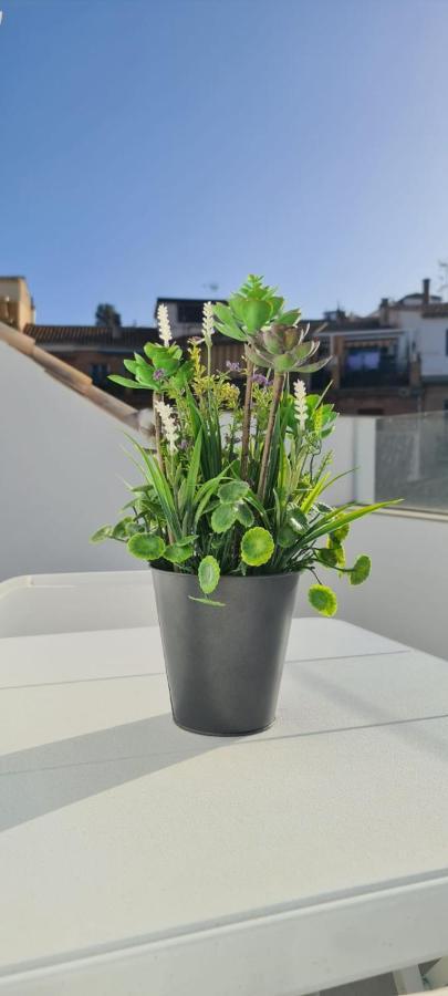 Appartement Atico Corazones *